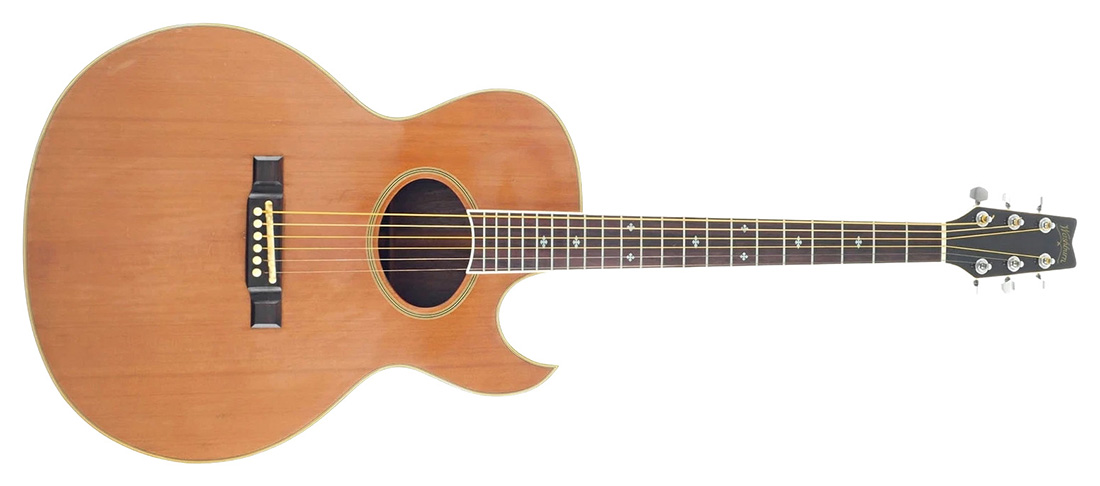Washburn EA-44N