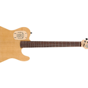 Godin Acousticaster